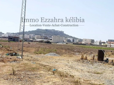 deux terrains avec vue sur la Tour de #Kelibia