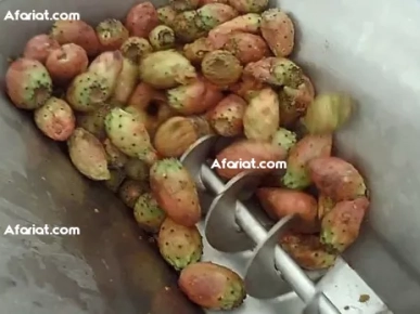 Machine broyeur-épulcheuse Machine broyeur-épulcheuse