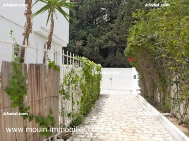 Villa Du Palmier AV1644 Hammamet