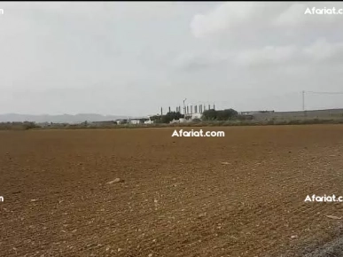 TERRAIN AGRICOLE BORJ ETWIL