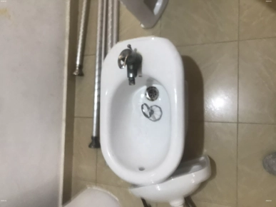 53747237 tn 53747237 tn