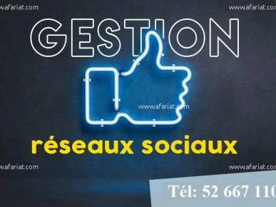 Gestion des Réseaux Sociaux Gestion des Réseaux Sociaux