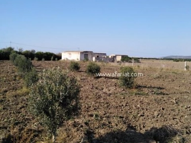 Petite ferme de 1 hect+2000m2 a el haouaria cap bon