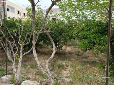 Vente de terrain à Hammam Sousse