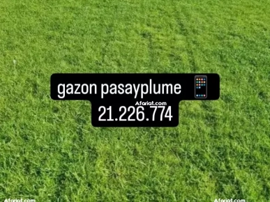 vente et posez gazon naturelle decoration jardin vente et posez gazon naturelle decoration jardin