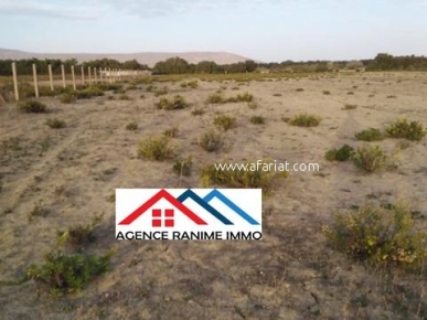 Terrain agricole de 6 hectares a el haouaria cap bon