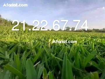 vente et posez gazon naturelle decoration jardin vente et posez gazon naturelle decoration jardin