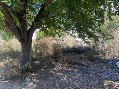la marsa terrain à vendre