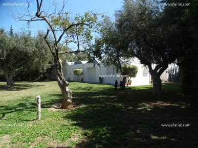 Demeure AZIZA (Réf: V1094)