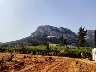 Terrain agricole à Mornag de 1.5 ha
