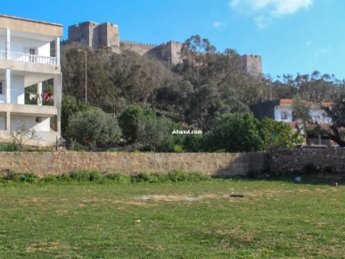 Terrain à bâtir kelibia Terrain à bâtir kelibia