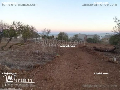 SUR LA HAUTEUR DE BEJOU GHAR MELH TERRAIN DE 8300M2 SUR LA HAUTEUR DE BEJOU GHAR MELH TERRAIN DE 8300M2