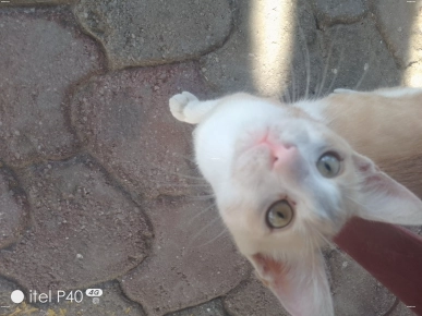 Italien Pour ETE 2025 Italien Pour ETE 2025