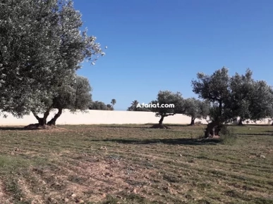 Terrain Titre Bleu Aghir Djerba