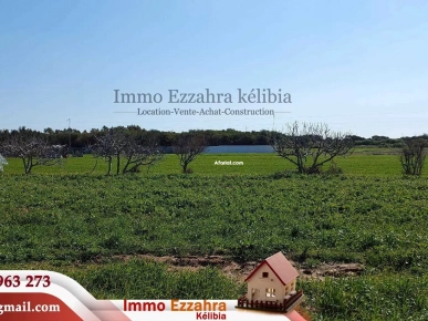 Lots des terrains à vendre à Hammem Jabli Hammem Ghezaz