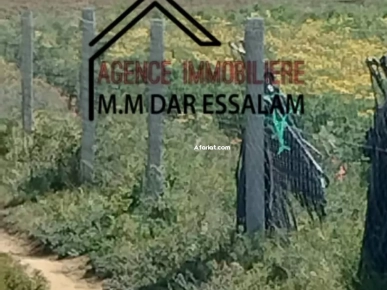 terrain agricole à vendre