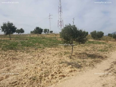 Terrain LILOU (Réf: T1137)