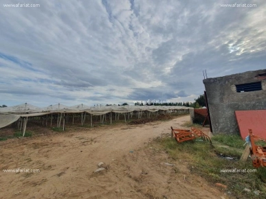 Ferme DU VIGNOBLE (Réf: T1308)