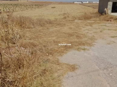 un terrain de 1 hectare à vendre