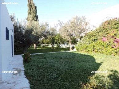 Dar Olivo AL2304 Hammamet
