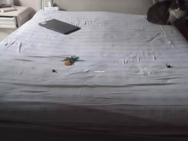 à vendre chambre à coucher en bois