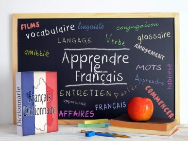 Enseignante de français et d’arabe avec douze ans d’expérience :