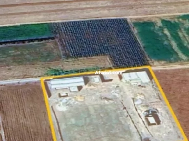 ارض فلاحية للبيع