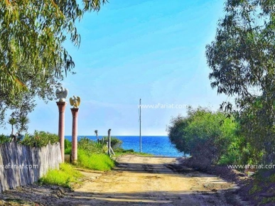 un Terrain vue sur mer à kerkouane