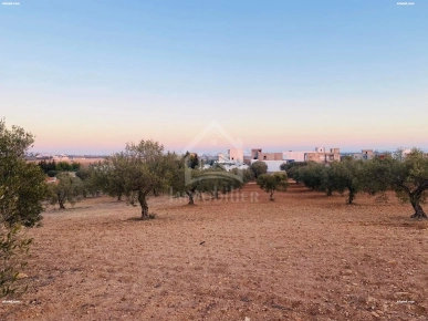Terrain de 1000 m² à vendre à 200 MD à Hammamet Sud 51355351
