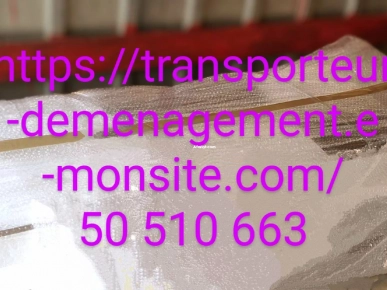 Transporteur déménagement 50 510 663