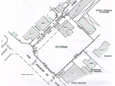 Terrain 1737 m² avec maison Route EL AIN  km 2