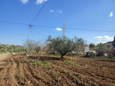 Terrain constructible  à vendre à Hammamet El monchar