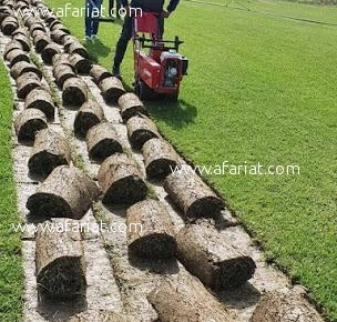 vente et posez gazon vente et posez gazon