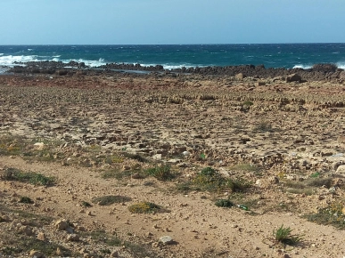 Terrain pied dans l'eau à El Haouaria
