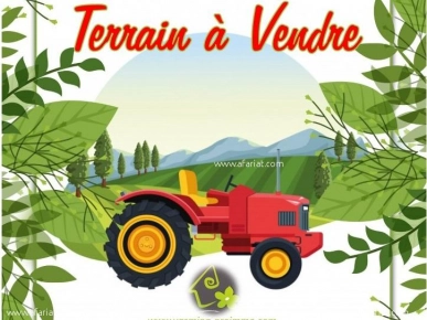 À Vendre Terrain TH905 - à Bouficha : À Vendre Terrain TH905 - à Bouficha :