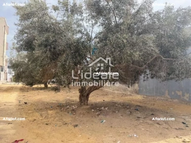 A vendre un beau lot de terrain à Hammamet nord