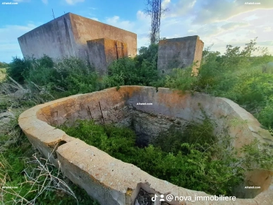 ارض فلاحية للبيع