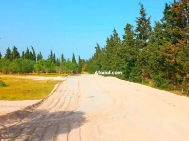 terrain a vendre 28.910817 terrain a vendre 28.910817