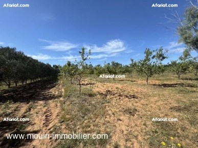 Ferme Les Emeraudes T1137 Hammamet Ferme Les Emeraudes T1137 Hammamet