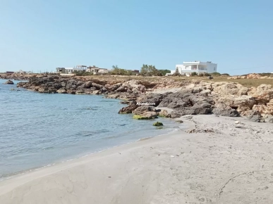 terrain pied dans l'eau à dar Allouche kélibia terrain pied dans l'eau à dar Allouche kélibia