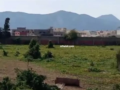 ارض بها منزل قديم و بيسين 3هكتارات ارض بها منزل قديم و بيسين 3هكتارات