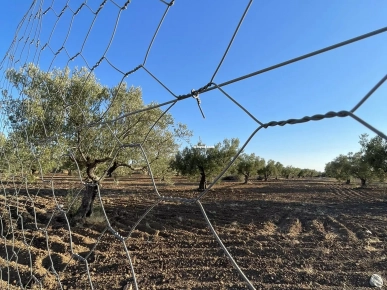 Terrain agricole à vendre Terrain agricole à vendre