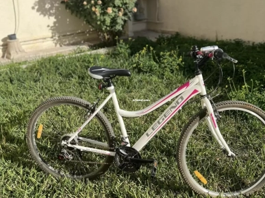 Vélo pour adulte