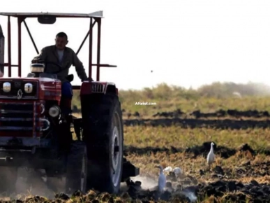 قطاع الفلاحة و تربية الماشية