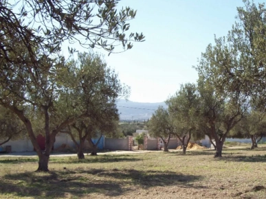 Terrain triple façade au coeur de la commune de slimane Terrain triple façade au coeur de la commune de slimane