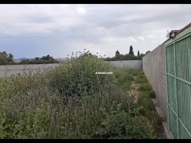 Un terrain de 1000m2 sur la route principale sidi younes