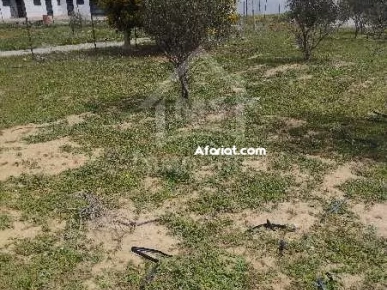 Un lot de terrain de 500 m² à vendre à 60 MD à Hammamet Sud