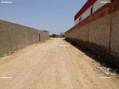 كراء أرض مسيجة كراء أرض مسيجة