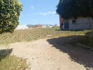 un terrain situé a haouaria centre ville