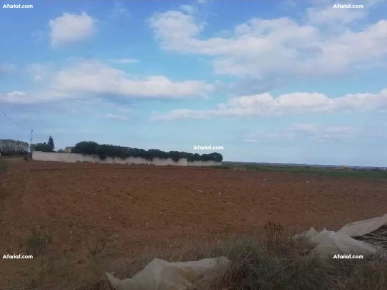 Affaire à ne pas rater Terrain a daroufa Maamoura Nabeul 1022m²